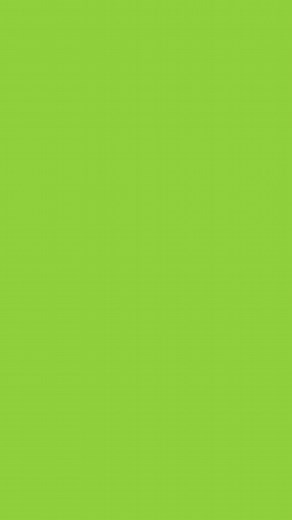 Crazy Hair Day Celebration in Yorkville