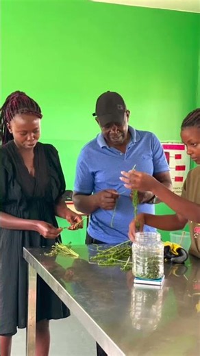Our Artemisia Workshop Was a Great Success! 🌱🌱