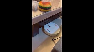 Pet cat protects plushie toy from robot vacuum cleaner