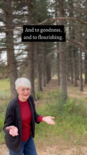 The word “walk” is mentioned hundreds of times in the Bible. It portrays movement and often pictures the spiritual and moral direction of a person’s life. Walking is a metaphor in Scripture describing our journey through this life, and how we choose to live each day. This “mom walk” we must journey on as mothers is more than an easy stroll down the lane of life. It is a commitment to live faithfully — to walk with God as our guide, with His wisdom and perspective, and with Him to protect us and 