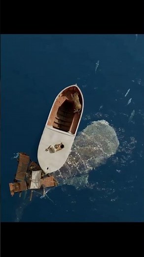 Life of Pi: A Story of Survival and Faith