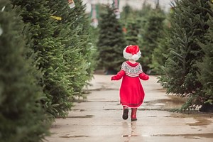 These are 7 of the best places near Sheffield to buy or collect a real Christmas tree
