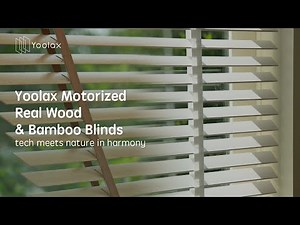 Product Show | Yoolax Motorized Real Wood Blinds