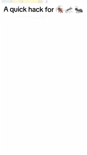 ABUJA CLEANING ESSENTIALS COMPANY. ENTREPRENEUR on Instagram: "New Dawn insecticide is made with a biodegradable composition that minimizes environmental impact. Easy to apply and reliable, it offers an ideal pest control solution for both professional and everyday use. Choose New Dawn Insecticide for effective pest management and a healthier, pest-free environment. #pestcontrol #fastkillerpesticide #fastkiller #newdawninsecticide Get yours today at our store 👇 👇 👇 👇 Available in bulk orders