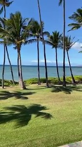 This is what “Maui on my mind” looks like for many. How about you? Mahalo to Nancy Beebe @buyingandsellingmaui for this video #palms #maui #mauionmymind #missingmaui #visitmaui #maui2021andbeyond | A Maui Blog