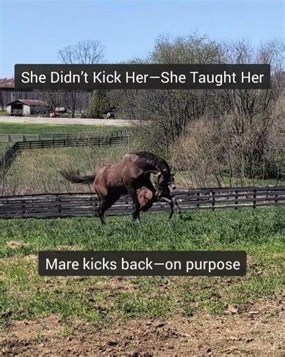 She Didn’t Kick Her—She Taught Her: What Dyana’s Behavior Says About Raising a Future Leader