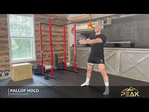 Band Pallof Hold | Build Core Stability & Anti-Rotation