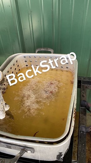 Delicious Fried Backstrap Recipe