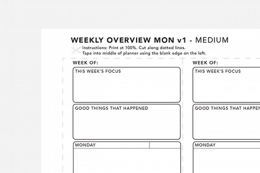 Weekly Overview | Free Printable | Passion Planner