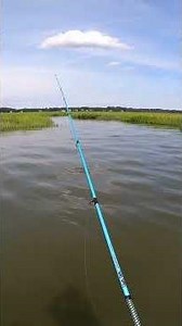 Gulp! Turbo Shrimp catches on 1st cast! #fishing #berkleyfishing