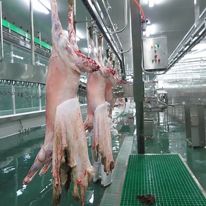 [Hot Item] Cattle Cow Slaughter House Machine Slaughtering Equipment Meat Processing Equipment
