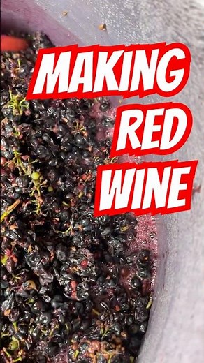 Making red wine at home