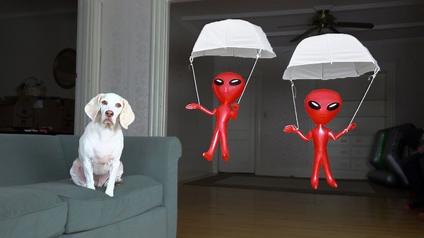 Aliens Drop In On Dog in Parachute Prank