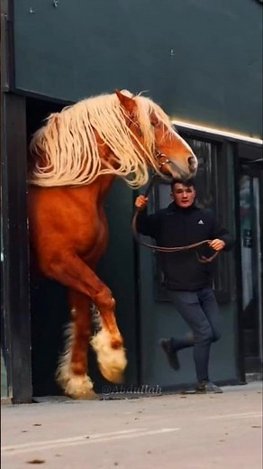 Watch Till The End! 🐾 Shocking Animal Transformation