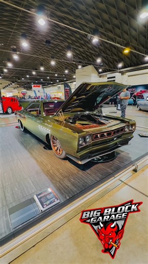 1969 Plymouth Road Runner, “Roidrunner”