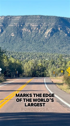 Mogollan Rim, Payson, Arizona #nicolefordphotography #nicoleford #arizona #ilovearizona #adventure #photooftheday #instagood #explorearizona #landscape #usa #usareels #hiking #roadtrip #landscapephotography #visitarizona #ArizonaTravel #arizonaliving #fypageシ #fypシ #explorepage #highlightsシ゚ #canyon #arizonalandscapephotography #pines #ponderosa #phoenix #payson #forest | Nicole Ford Photography