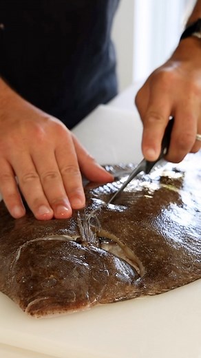 119K views · 83 reactions | How to fillet a brill  This technique...