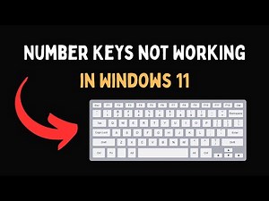 Number Keys not Working in Windows 11