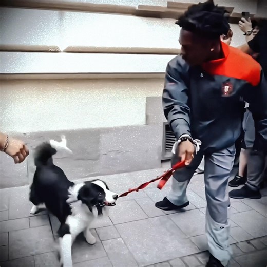 Ishowspeed performs trick with a dog 🔥.