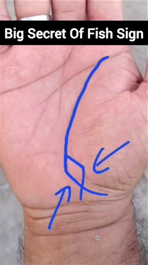 Very Rare Fish Sign in Hand 😯 #fishsign #palmistry