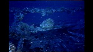 National Marine Sanctuary Day 🌊 Marine sanctuaries hold the keys to the stories that bind us together. By protecting these sanctuaries, we preserve crucial aspects of our shared maritime heritage that could otherwise be lost forever. Today, we celebrate National Marine Sanctuary Day by looking at some of the ways we’re caring for the treasures the water has given us ✨ We’re honored to partner with NOAA’s Monitor National Marine Sanctuary to steward the one-of-a-kind USS Monitor Collection, whic