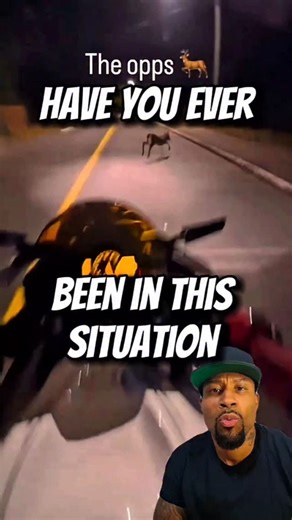 Have you ever hit a deer on a motorcycle? Or know someone who has? 😲 • Shoutout @ethereal_636 • • #foryou #kawasaki #636 #cbr #bikeweek #roadrage #reckless #superbike #motorcycle #reactionvideos #moto #bikersofinstagram #bikelife #bikelifestyle #explorepage #influencer #bikenight #reaction #deer #wednesday #cbr600 #harleydavidson #supercar #superbikesgram #sportbike #insta360 #crash #fail #popular #trending | Roadkingsino