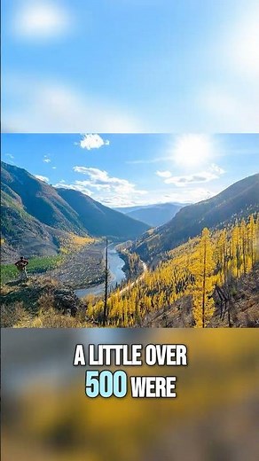 Montana River Plan: Public Speaks Out on Forest's Future