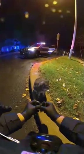 Cat gets placed in tiny handcuffs after causing pure chaos