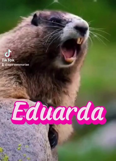 Significado do Nome Eduarda: Guardiã de Riquezas