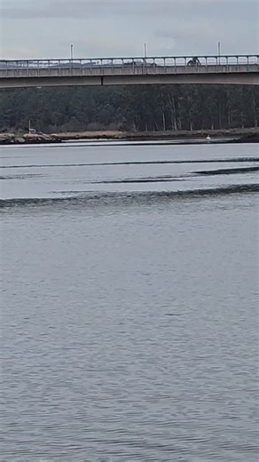 @anubis.dimitri ( Javier Otero) on Instagram: "No nos gustan los patos"