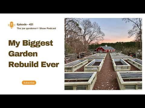 Rebuilding My Raised Bed Garden After 14 Years (What Worked and What Changed)