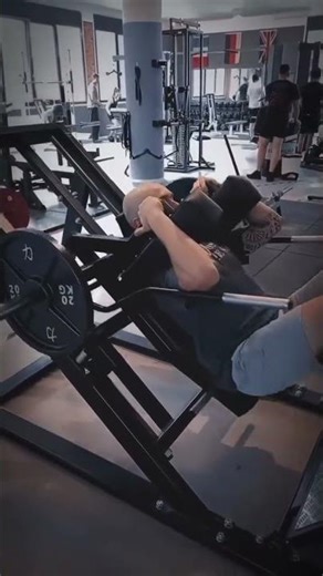 Gymfactory.eu / D1X Hack Squat Machine