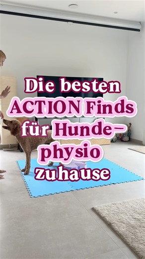 Hundephysio für zuhause! 🫶