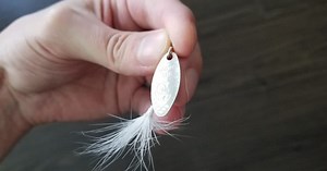 | Backcountry Cariboo