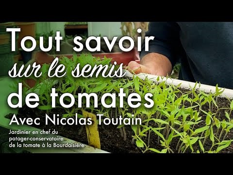 Semer ses tomates comme un pro avec Nicolas Toutain.