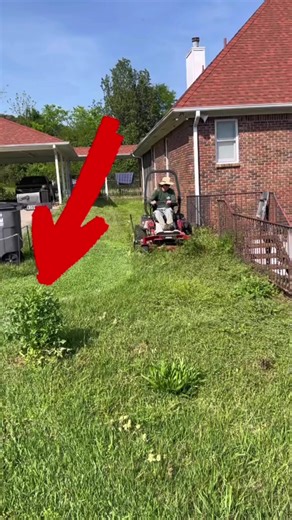 How to mow like a pro! #lawncare #lawncarelife #mowingthelawn #mowing | Paul Jamison