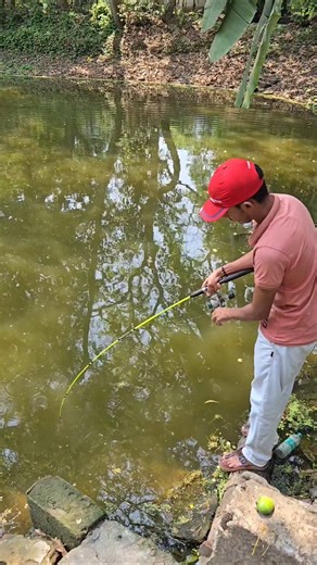 Mango se fishing technique #fishing #fishingvideo