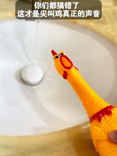 Real Sound of a Screaming Chicken Exposed