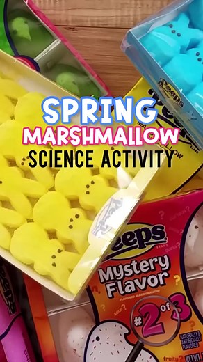 5.1K views |  Spring Marshmallow Science: Easy to follow science...