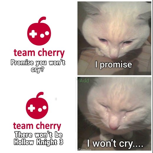 The Sad Reality fr😭 Hollow Knight