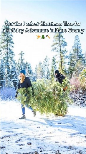 🌲 Cut the Perfect Christmas Tree in Butte County, California 🪓 | Explore Butte County