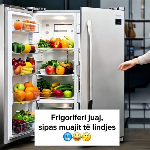 Exploring Albanian Culture and Language