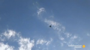 DOGFIGHT: F-15 Eagle vs. MiG-29 | Mike Guardia - Author