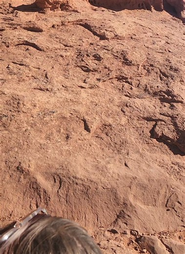 Exploring Optical Illusions with Shadows