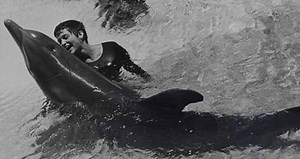 The NASA-Funded Experiment That Led To Sex Acts Between A Woman And A Dolphin