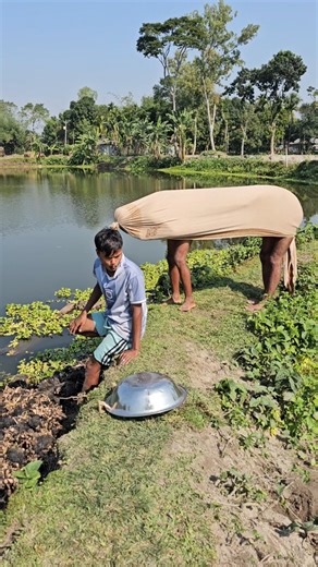 The cow overturned the stool