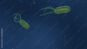 A 3D animation of Escherichia coli, commonly known as E. coli, illustrates its role as a bacterium typically found in the lower intestine of warm-blooded organisms