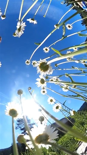 Summer starts this Saturday, June 28 at Stevens Pass! Here's everything you need to know ahead of Opening Day: 🚵‍♂️ All DH bike trails are planned to open with a trail for every rider, from rowdy P.B.R. to flowy Rock Crusher! No bike or new to mountain biking?! No problem, lessons and rentals are also available! 🚡 Hogsback Express will be open to take in sweeping views of the Cascades without breaking a sweat. 🥾 Catch a scenic lift ride, then hike down through the forest for 2.5 miles or conn