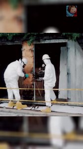 ☢️ dernier extrait de notre vidéo spécial #radioactivité pour Se Coucher Moins Bête ! Saviez-vous que certaines personnes ont tenté de construire des réacteurs nucléaires dans leur cave ? La vidéo complète : https://www.youtube.com/watch?v=Vb3N9AksFC0 #nucléaire #atomique #radioactif #radium #accident #guerre #histoire #uranium #réacteur #fission | Big Bang Science | Facebook