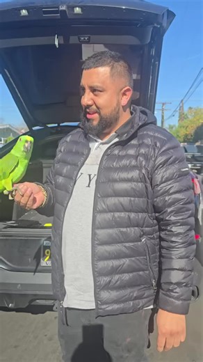 exoticpetshop701 #foryou #trending #viral #parrots701 #fyp | Parrots